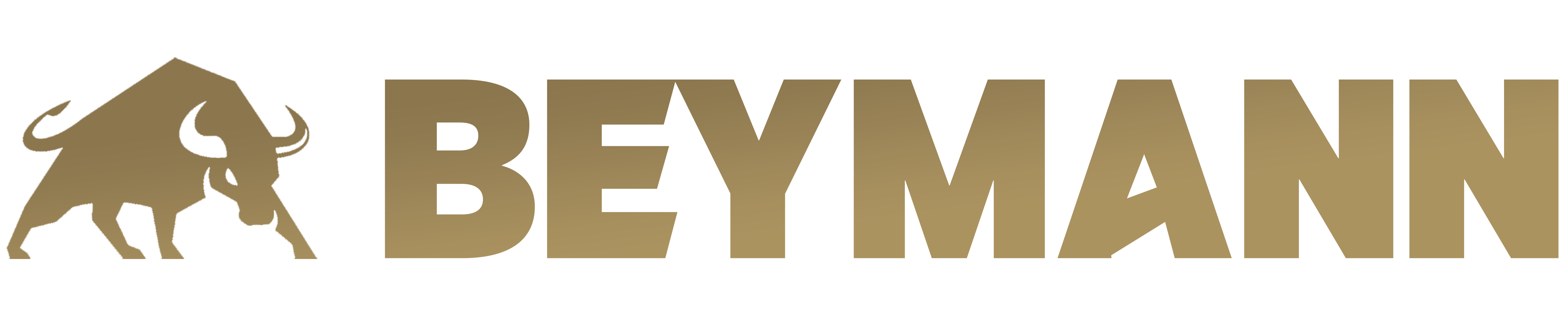 Beymann Capital Shield